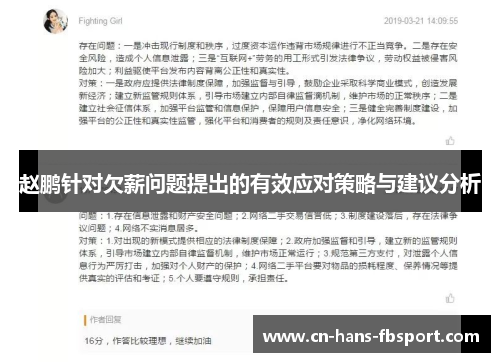 赵鹏针对欠薪问题提出的有效应对策略与建议分析